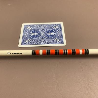Arrows with Leather Case