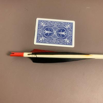 Arrows with Leather Case