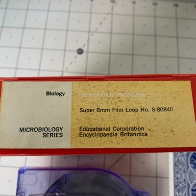 Freshwater Protozoa