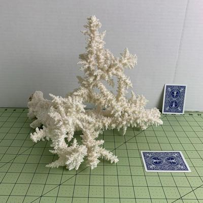 Vintage White Branch Coral