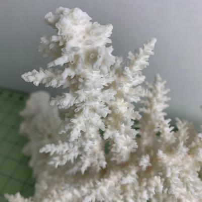 Vintage White Branch Coral