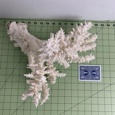 Vintage White Branch Coral