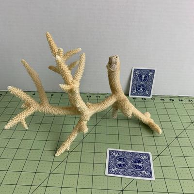 Beige Branch Coral - 1