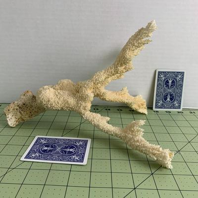 Beige Branch Coral - 2