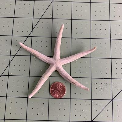 Starfish - 2