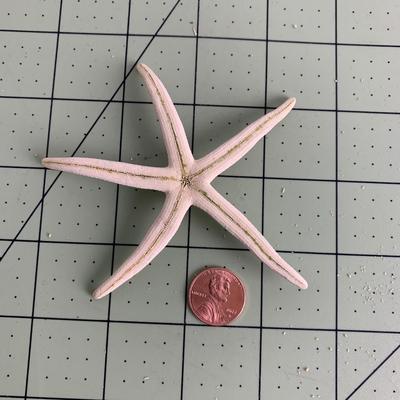 Starfish - 2