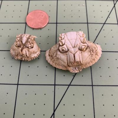 Seashells - 3 