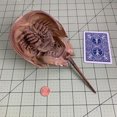 Horseshoe Crab