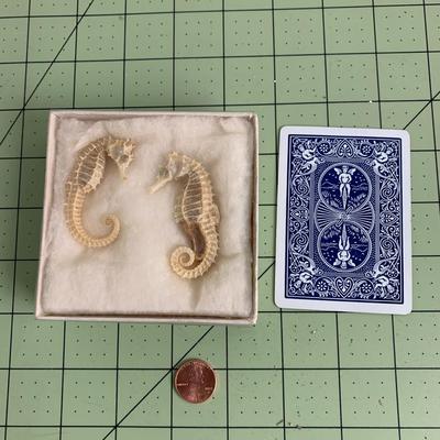 Seahorse Skeleton