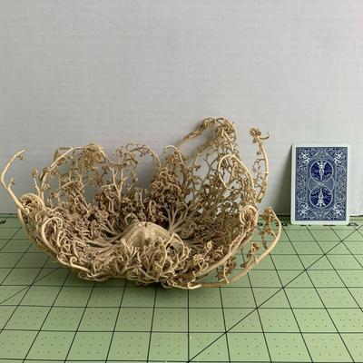 Basket Starfish