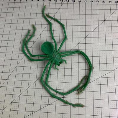 Green Spider Toy