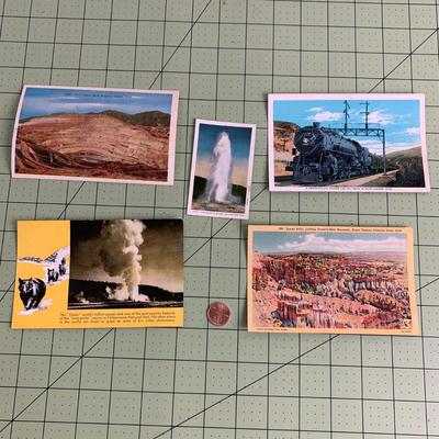 Vintage Postcard Collection