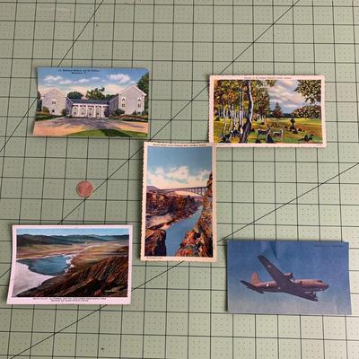 Vintage Postcard Collection