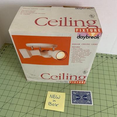 Indoor Ceiling Light
