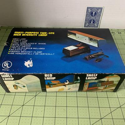 Multi-Purpose Two-Lite Lamp