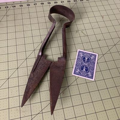 Sheep Shears
