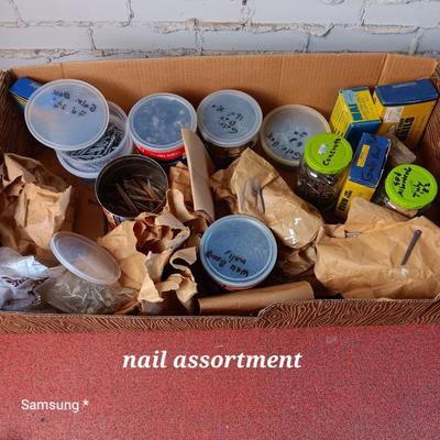 Nail Assortment Bundle