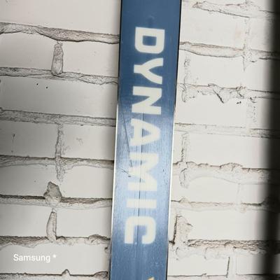 Dynamic VR17 Skis with Bindings and Cheetah Travel Bag