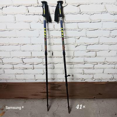41" Leki Ski Poles