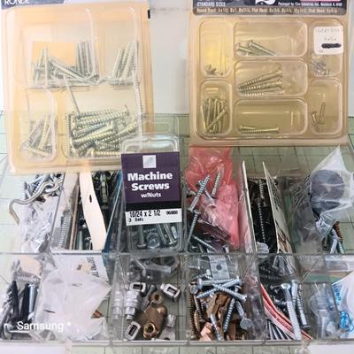 Screw Assortment with Clear Organizer