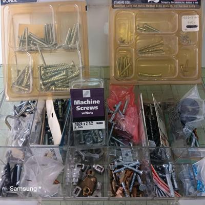 Screw Assortment with Clear Organizer