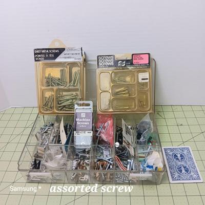 Screw Assortment with Clear Organizer