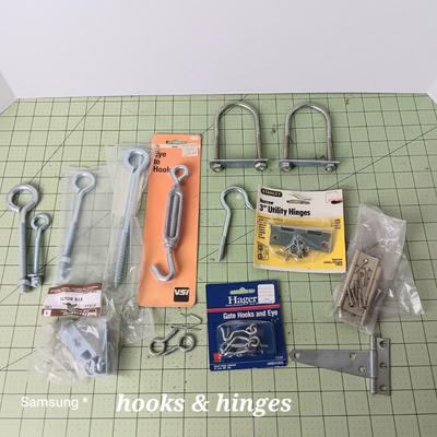 Hinge and Hook Assortment