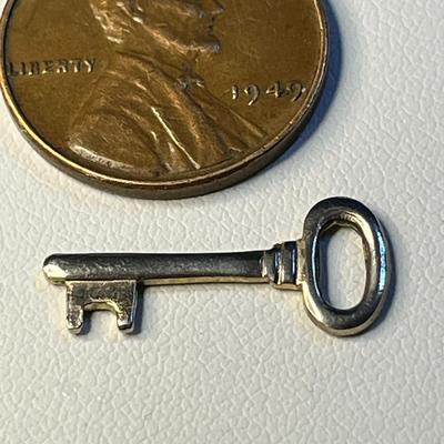 TEENY TINY SKELETON KEY