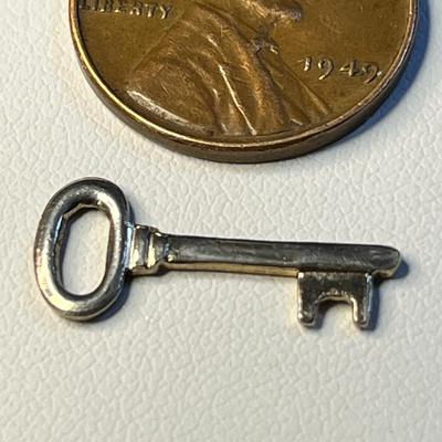 TEENY TINY SKELETON KEY