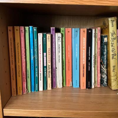AB1398 Vintage Children's Paperback Books Judy Blume , Louise Fitzhugh, Lois Lenski