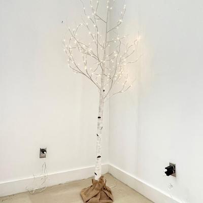 RESTORATION HARDWARE ~ Winter Wonderland Trees ~ Set Of Three (3) ~ White Birch LED Lighted Trees