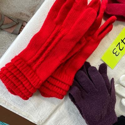 T6 pair winter gloves