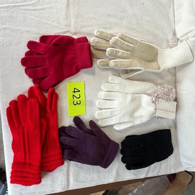 T6 pair winter gloves