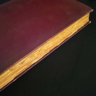 Three Volume "Rise of the Dutch Republic" from 1899 & 1900 (D-DW)