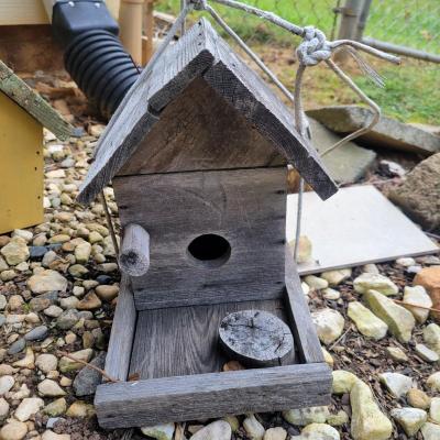 Birdhouses, Feeders and More (Y-DW)