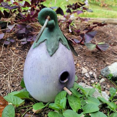 Birdhouses, Feeders and More (Y-DW)