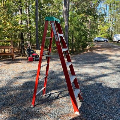 S1642 White Metal Fiberglass 6' Ladder
