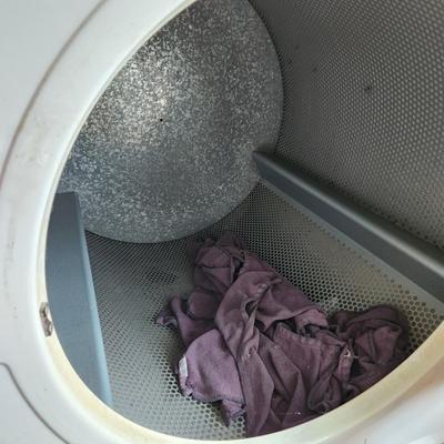 Dexter Commercial Dryer Gas untested