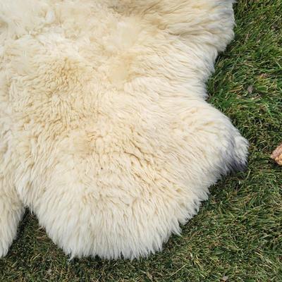 Pair of Windward Long Fiber Sheep Pelts (LR-DW)