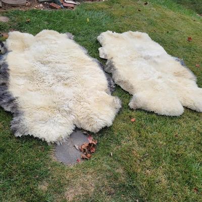 Pair of Windward Long Fiber Sheep Pelts (LR-DW)