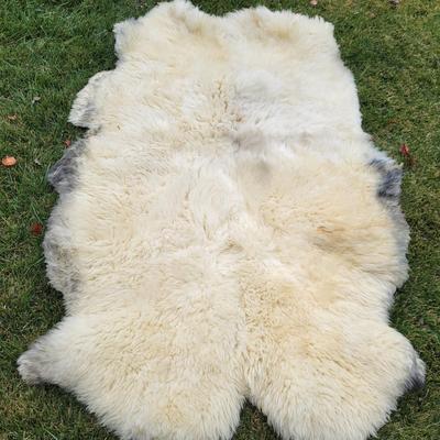 Pair of Windward Long Fiber Sheep Pelts (LR-DW)