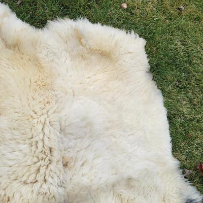 Pair of Windward Long Fiber Sheep Pelts (LR-DW)