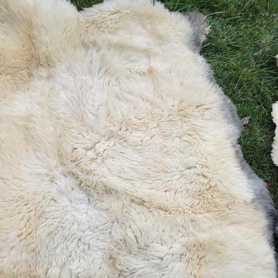 Pair of Windward Long Fiber Sheep Pelts (LR-DW)