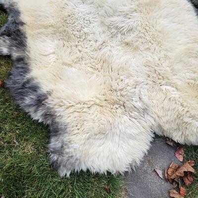 Pair of Windward Long Fiber Sheep Pelts (LR-DW)