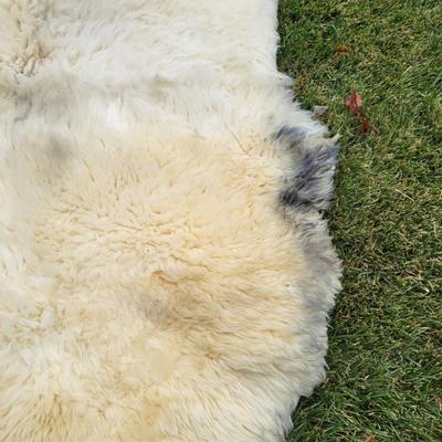 Pair of Windward Long Fiber Sheep Pelts (LR-DW)