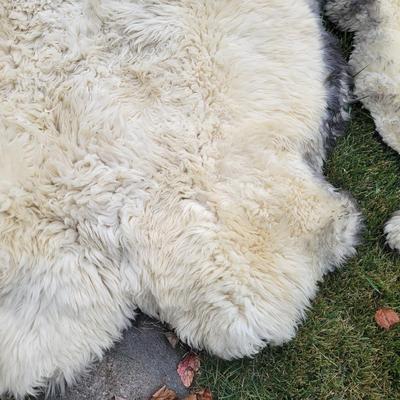 Pair of Windward Long Fiber Sheep Pelts (LR-DW)