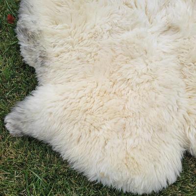 Pair of Windward Long Fiber Sheep Pelts (LR-DW)