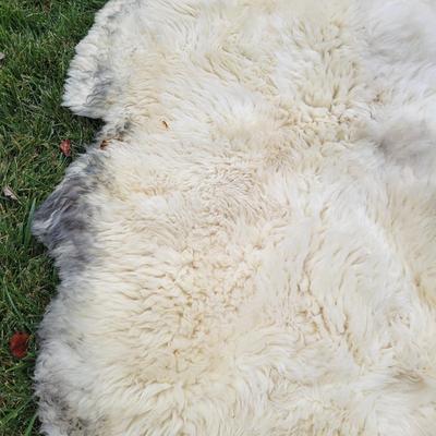 Pair of Windward Long Fiber Sheep Pelts (LR-DW)