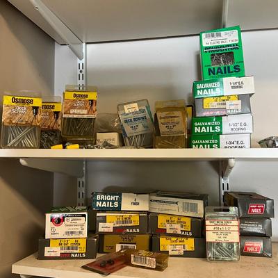 S1716 One Drawer Organizer with Boxes of Screws and Nails