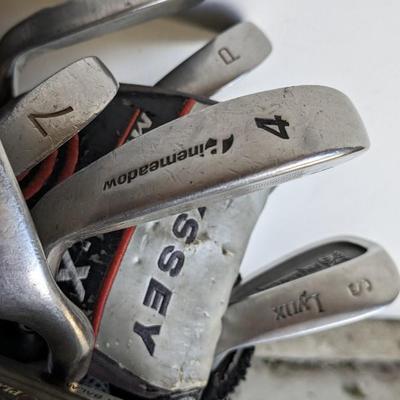 Lets Go Golfing! 